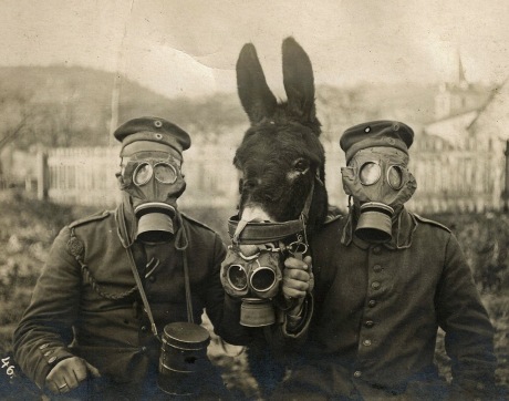 gas masks
